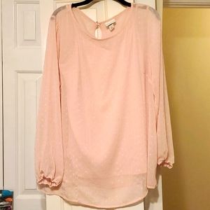 AVA & VIV Set of 2: Long Sleeve Sheer Blouse & Detached Camisole Size 1X